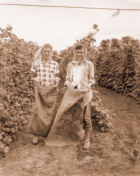 (July 30, 1955) ##These two Dayton girls, Carol Johnson and Pat Willert, both 15, point up the approaching demand for a near record number of bean pickers. More than 1000 acres of this important crop in Yamhill County and surrounding area will be ready for harvesting by the end of next week. (July 30, 1955) ##These two Dayton girls, Carol Johnson and Pat Willert, both 15, point up the approaching demand for a near record number of bean pickers. More than 1000 acres of this important crop in Yamhill County and surrounding area will be ready for harvesting by the end of next week.