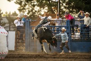 Justice Forsythe from Montesano hangs onto the back of a bull during the bull riding events held inside the Cascade Arena at the Yamhill County Fair on Wednesday, August 30. Forsythe was the only person out of dozens who tried their turn to successfully ride a bull for the eight required seconds.
Rusty Rae/News-Register