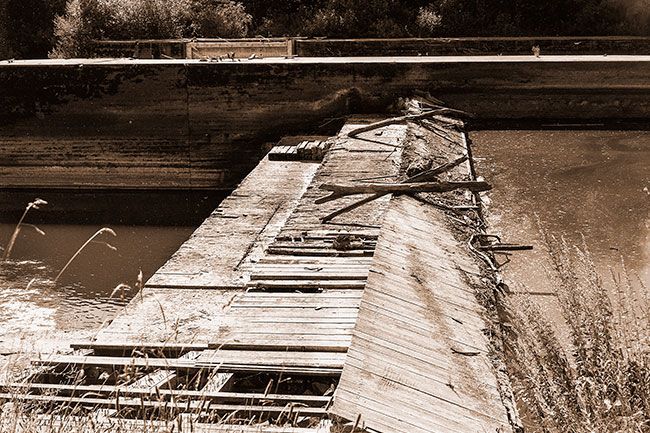 ##(Aug. 23, 1955) Rotting timbers and missing planking at the Yamhill Locks and dam near Lafayette present a study in neglect and abandonment. Maintenance by the Army was discontinued late in 1953 after the locks were closed to traffic.