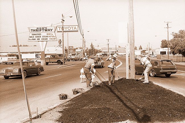 ##(Aug. 27, 1980) Members of the McMinnville Rotary Club got off to a slow start in their efforts to beautify the triangular island on North Baker Street Friday when the scoop tractor knocked off a sprinkler head. Here, Vince Mekkers, Dave Myatt and Jerry Sherwood appeared to be working in the midst of traffic as they spread bark dust in preparation to planting the shrubbery. The project was financed by the Rotary Club, and the McMinnville City Council decided Tuesday night that city crews would maintain it. Water for the island will be “on the house,” according to Water & Light Department manager Alan Jones.
