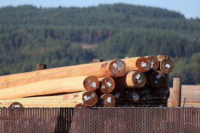Amanda Loman/InvestigateWest##The Sheridan wood treatment facility, operated by various companies since 1946, has until recently used a hazardous wood preservative known as pentachlorophenol to prevent rotting and fungus in products like telephone poles and wood ties.