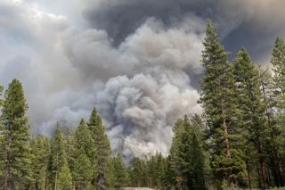 Public domain photo##Smoke from the 2024 Little Yamsay Fire as seen on Silver Lake Road in Klamath County.
