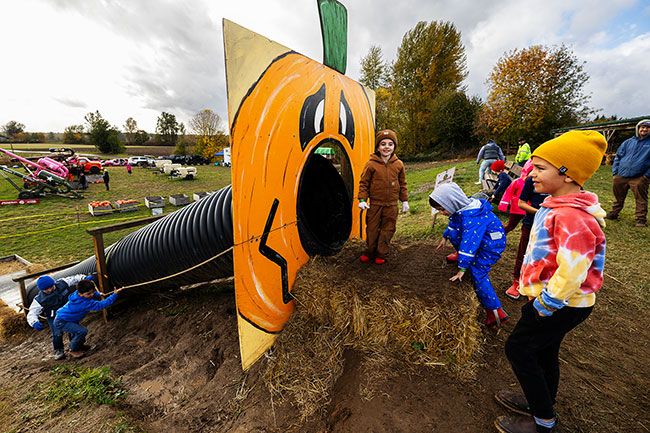 Rachel Thompson/News-Register##Kids line up for the giant slide at Heiser Farms on Saturday as pumpkin cannons fire in the background. Waiting at the top are Emersyn Fahlman and Leon Lopez, both of Salem, and Brad Wolfard of Newberg. Climbing the hill are Ryder De Car of Newberg and Grayson Strombom of Dayton. Rachel Thompson/News-Register##Kids line up for the giant slide at Heiser Farms on Saturday as pumpkin cannons fire in the background. Waiting at the top are Emersyn Fahlman and Leon Lopez, both of Salem, and Brad Wolfard of Newberg. Climbing the hill are Ryder De Car of Newberg and Grayson Strombom of Dayton.