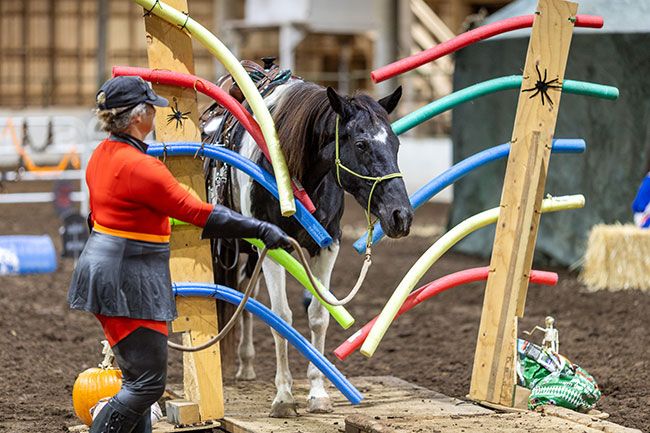 Rachel Thompson/News-Register##Estelle Firestone of Sheridan leads her horse, Fly Me to the Moon — “Fly Me” for short — through a curtain of pool noodles during the Yamhill County Sheriff’s Mounted Posse’s Halloween-themed Spook Night Obstacle event Friday at the fairgrounds. Riders guided their horses through a variety of challenges, including inflatables, hanging streamers, scattered balloons, and boxes filled with crinkly plastic and noisy textures. The exercises are designed to help desensitize horses to unexpected sights, sounds, and surfaces they might encounter on trails or in everyday life. Rachel Thompson/News-Register##Estelle Firestone of Sheridan leads her horse, Fly Me to the Moon — “Fly Me” for short — through a curtain of pool noodles during the Yamhill County Sheriff’s Mounted Posse’s Halloween-themed Spook Night Obstacle event Friday at the fairgrounds. Riders guided their horses through a variety of challenges, including inflatables, hanging streamers, scattered balloons, and boxes filled with crinkly plastic and noisy textures. The exercises are designed to help desensitize horses to unexpected sights, sounds, and surfaces they might encounter on trails or in everyday life.
