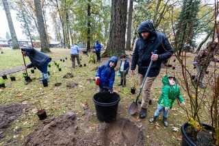 Rachel Thompson/News-Register##Amity City Administrator Nathan Frarck, shovel in hand, works with his sons Matthew, 6, Kimball, 4, and Afton, 2, and other volunteers to plant native flora in the rain at Amity City Park on Saturday. The new garden is part of a larger city effort to improve the park, honor the land’s history and enhance future walking tours.