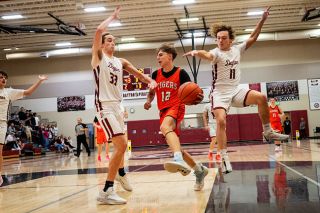 Rusty Rae/News-Register##Tigers&rsquo; sophomore guard Chase Wald (center) dribbles through a forest of flailing limbs. Jax Brandon-Sanchez (left) and senior guard Asher Maxwell (right) attempt to swat the ball away from Wald.