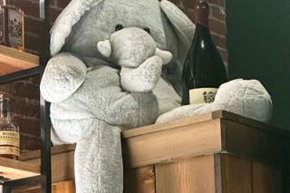 Kirby Neumann-Rea/News-Register##Note that the stuffy at The Pub is an elephant &mdash; but not a pink elephant.