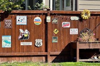Kirby Neumann-Rea/News-Register##Many themes and irreverent (and bawdy) expressions line this 22nd Avenue fence.