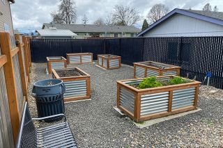 Starla Pointer/News-Register##The Carlton City Council is supporting plans to plant a pollinator garden to attract bees, butterflies and other beneficial insects in the community garden space on North First Street, about three blocks from the civic building. The gated space features several raised beds.