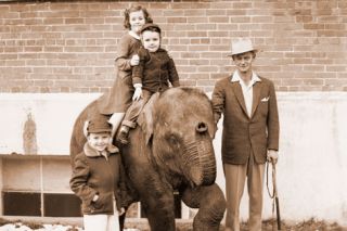 ##(March 7, 1956) Suzie, the circus elephant, doesn&rsquo;t seem to mind at all when children climb on her back for a ride. At top, Carol Schenk and Mike Hyder have climbed aboard as Mike&rsquo;s brother, Mark, waits his turn. The 3-year-old Indian elephant and her trainer, Wally Ross, took part in the circus sponsored by the McMinnville Lions Club at the armory.
