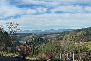 Kirby Neumann-Rea photos##Scenic view looking toward the Coast Range from Roots Wine Co. on Northeast Woodland Loop Road east of Yamhill.