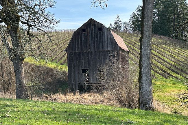 Kirby Neumann-Rea photos##A rustic barn adds to the rural flavor below Colene Clemens Vineyards on Northeast Dopp Road outside Newberg.