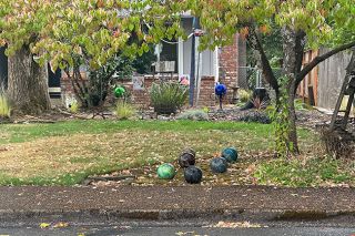 Kirby Neumann-Rea/News-Register##Bowling balls, a decorated parking lot curb, Big Bird-missile-arrow-and-rooster combo, and horse and dinosaur figures form this week&rsquo;s slate of strange sights.