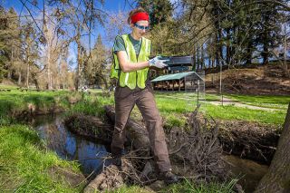Rachel Thompson/News-Register##Markie Hess, restoration specialist for the Greater Yamhill Watershed Council, carries a flat of native plants to place along Cozine Creek in McMinnville&rsquo;s Lower City Park.