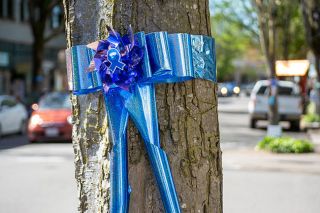 Ossie Bladine/News-Register##Ribbons tied to downtown McMinnville trees signify Child Abuse Prevention Month, with blue being the designated color for this cause.
