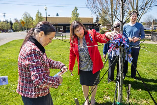 Rachel Thompson/News-Register##Dawnette Bowlin, left, vice-regent of the Yamhill Chapter of Daughters of the American Revolution, and Regent Jill Fox make final adjustments to the newly planted Liberty Tree in Dayton. The tree is dedicated to the &ldquo;men and women who achieved American Independence,&rdquo; according to its placard. &ldquo;These Patriots, believing in the noble cause of liberty, fought valiantly to found a new nation.&rdquo;