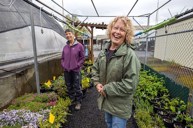 Rachel Thompson/News-Register##Gail Stolz and Tina Busskohl enjoy a tour through the Yamhill County Master Gardeners area at the Yamhill County Fairgrounds, where volunteers have been growing plants for the YCMG&rsquo;s annual sale this weekend. Busskohl especially enjoys propagating, which is growing new plants from cuttings taken from existing ones.