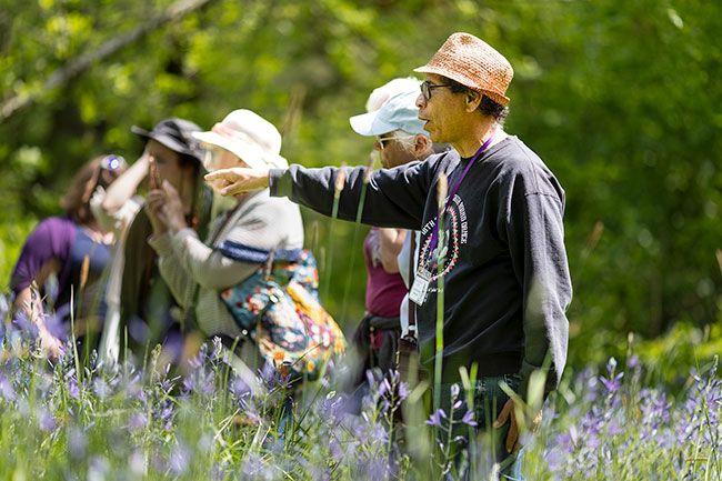 Rachel Thompson/News-Register##Greg Archuleta, a cultural policy analyst and member of the Confederated Tribes of Grand Ronde, gestures toward camas flowers while talking with visitors during an afternoon tour of the Cozine Creek camas patch. Held each spring in partnership with the Confederated Tribes of Grand Ronde, the Camas Festival celebrates the native flower and Indigenous First Food.