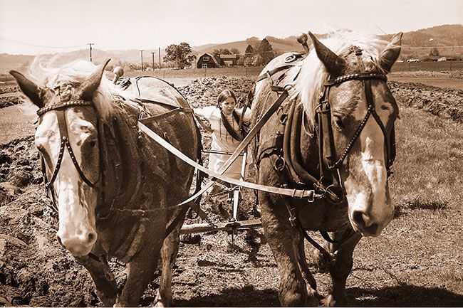 ## (May 5, 1976) The young lady pictured here showed that she could handle a team of draft horses as well as some of the veteran farmers in competition Saturday just south of McMinnville. The draft horse plowing contest drew participants from all over the state, and thousands of people to the event. It was the first time for this event in McMinnville, after several years in the Hillsboro area. The Chuck Kadell farm south of town was site for the activities, which will be scheduled again here next year.