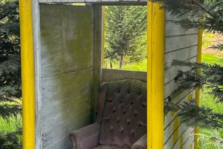 Kirby Neumann-Rea/News-Register##Skyline Road yellow-trimmed shack, and moss antimacassar across the back.