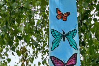 Kirby Neumann-Rea/News-Register##Ceiling fan paddles repurposed as adornments hanging from a maple.