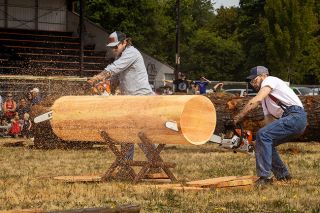 Nathan Ecker/News-Register file photo##Nathan Konovalov, left, and Shane Felton blow wood dust into the air during a hot race with chainsaws in the 2025 Willamina logging show, part of the city&rsquo;s Old Fashioned Fourth of July celebration.