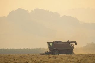 Rachel Thompson/News-Register##A combine threshes a field southwest of McMinnville Tuesday evening. The hills in the background are silhouetted by a thick patch of smoke from regional wildfires that covered the valley this week.