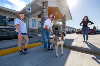 Rachel Thompson/News-Register##Ty Hurl of McMinnville, center, and his daughter, Marti, 12, tell 2-year-old Anatolian shepherd Klein that they are adopting him from Homeward Bound Pets and taking him to live on their acreage with their other dog, sheep and goats. &ldquo;We were looking at Turkish boys&rsquo; names last night,&rdquo; said Hurl, who was a boy when he adopted his first dog, a springer spaniel named Woody, from the nonprofit humane society back in 1982. Casey Shook, director of the shelter, right, prepares to say goodbye &mdash; always a bittersweet moment, since shelter staff will miss the animals they have gotten to know, but are overjoyed that they are going to forever homes.