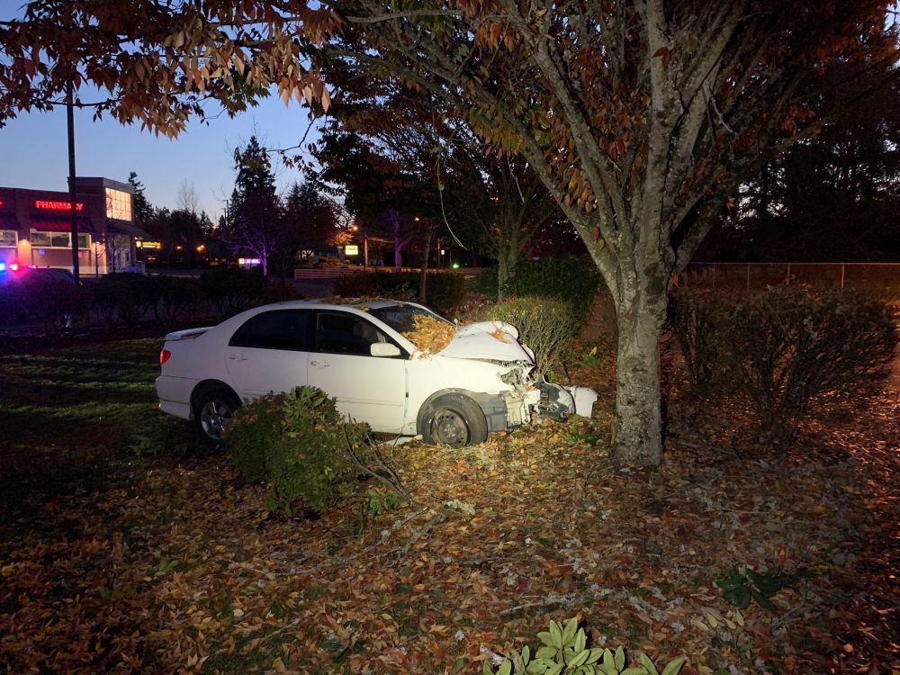 McMinnville Police Department photo##A Salem woman sustained serious injuries after crashing her car Tuesday morning in the area of Walgreens.