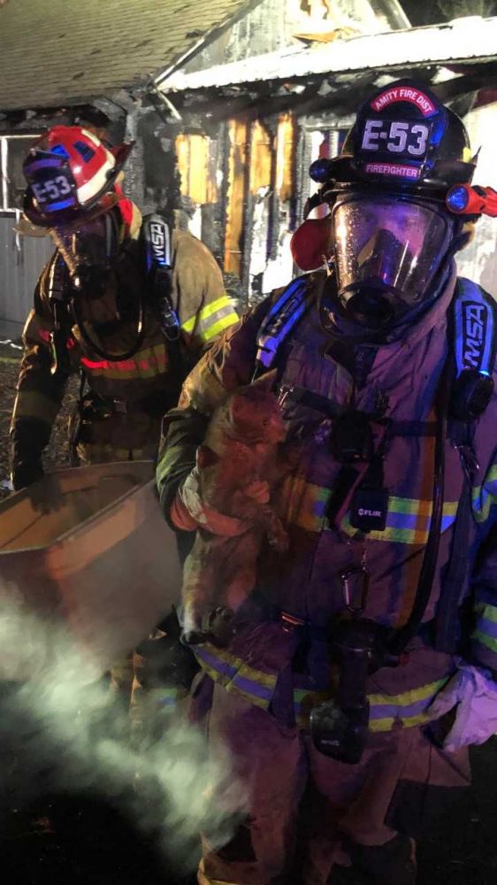 Photo courtesy McMinnville Fire Department##Amity volunteer firefighter Jordan Dyche holds one of five cats rescued early Friday morning from a McMinnville house fire. Amity volunteer Lt. Daniel Loop assists.